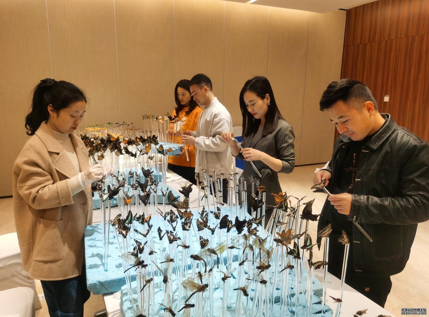 QQ截图20211020102325.jpg